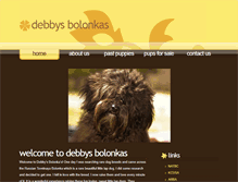 Tablet Screenshot of debbysbolonkas.com